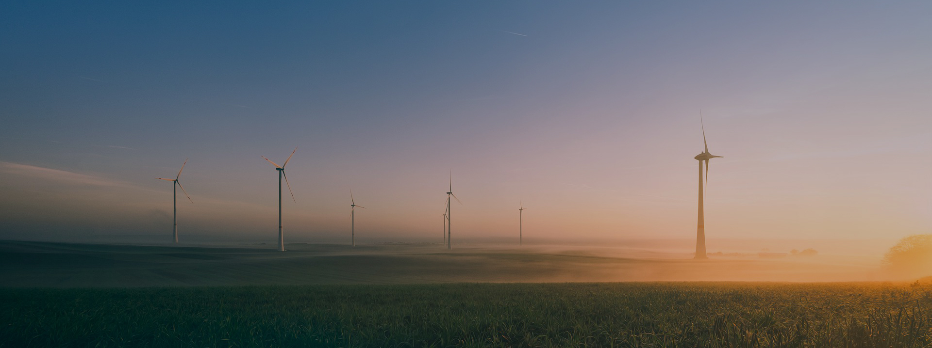 今年会 | 官方网站