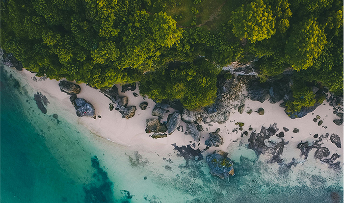 今年会 | 官方网站