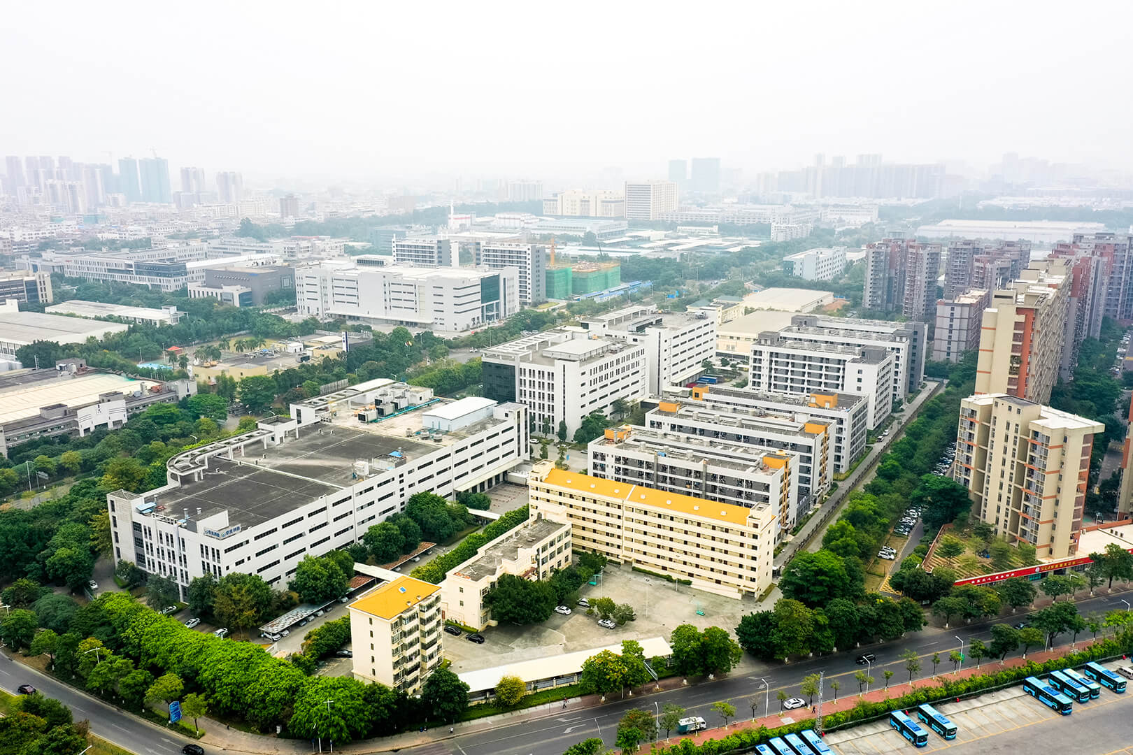 今年会 | 官方网站