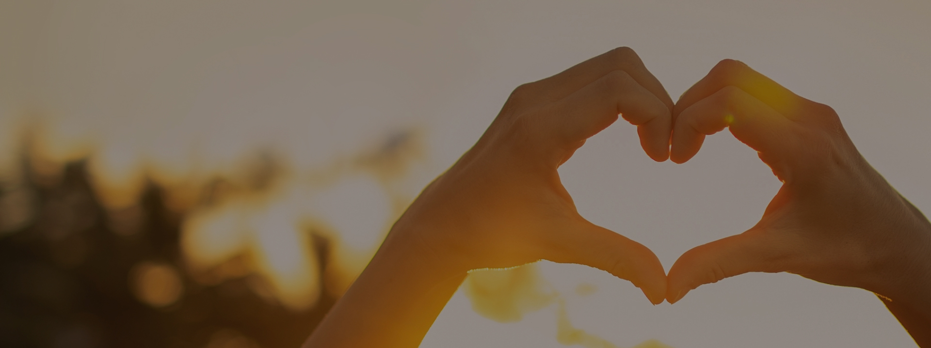 今年会 | 官方网站