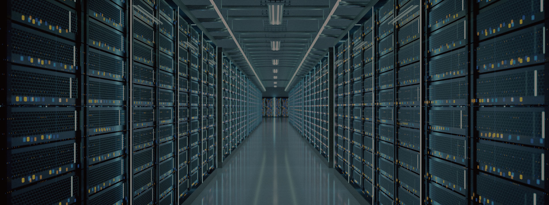 今年会 | 官方网站