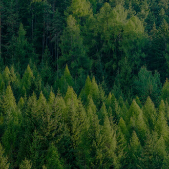 今年会 | 官方网站