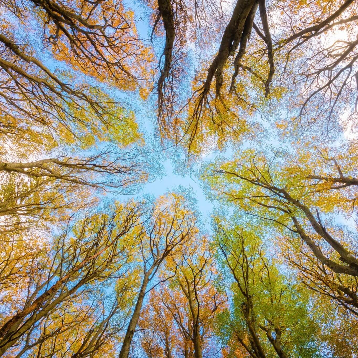 今年会 | 官方网站