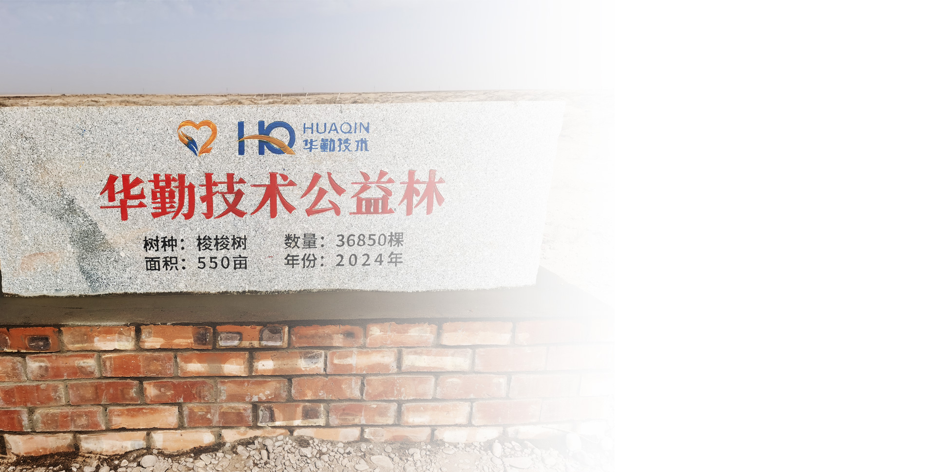 今年会 | 官方网站