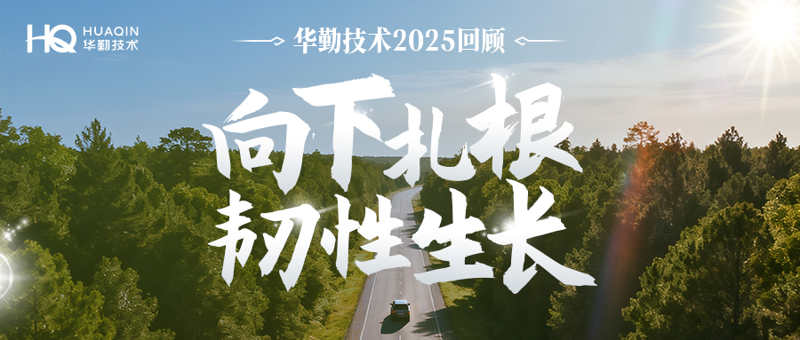 向下扎根 韧性生长 | 今年会官网登录入口手艺2025年回首